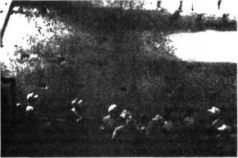 Иллюстрация к книге — Космический код [pic_85.jpg]