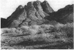 Иллюстрация к книге — Колыбели цивилизаций [auto_fb_img_loader_129.jpg]