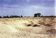 Иллюстрация к книге — Колыбели цивилизаций [auto_fb_img_loader_149.jpg]