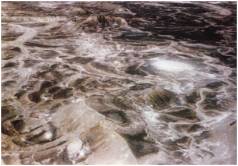 Иллюстрация к книге — Колыбели цивилизаций [auto_fb_img_loader_158.jpg]