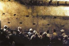 Иллюстрация к книге — Колыбели цивилизаций [auto_fb_img_loader_175.jpg]