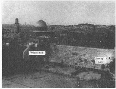 Иллюстрация к книге — Колыбели цивилизаций [auto_fb_img_loader_213.jpg]