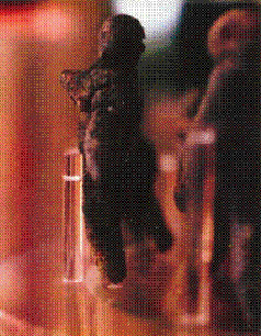 Иллюстрация к книге — Колыбели цивилизаций [auto_fb_img_loader_73.jpg]