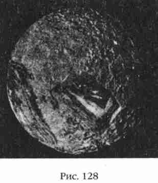 Иллюстрация к книге — Боги Армагеддона [i_129.jpg]