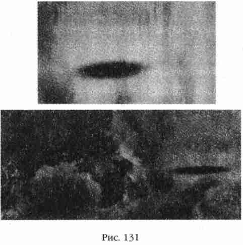 Иллюстрация к книге — Боги Армагеддона [i_132.jpg]