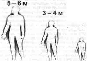 Иллюстрация к книге — Трагическое послание древних [any2fbimgloader123.jpg]