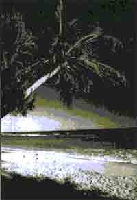 Иллюстрация к книге — Трагическое послание древних [any2fbimgloader152.jpg]