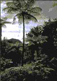 Иллюстрация к книге — Трагическое послание древних [any2fbimgloader155.jpg]