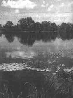 Иллюстрация к книге — Трагическое послание древних [any2fbimgloader211.jpg]