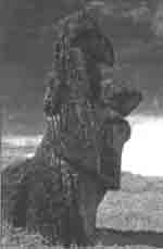 Иллюстрация к книге — Трагическое послание древних [any2fbimgloader24.jpg]