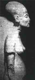 Иллюстрация к книге — Трагическое послание древних [any2fbimgloader358.jpg]