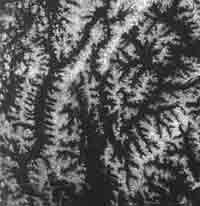 Иллюстрация к книге — Трагическое послание древних [any2fbimgloader436.jpg]