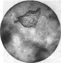 Иллюстрация к книге — Трагическое послание древних [any2fbimgloader99.jpg]