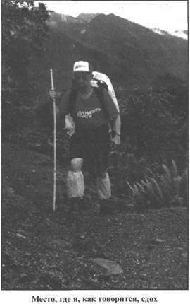 Иллюстрация к книге — Золотые пластины Харати [any2fbimgloader115.jpg]