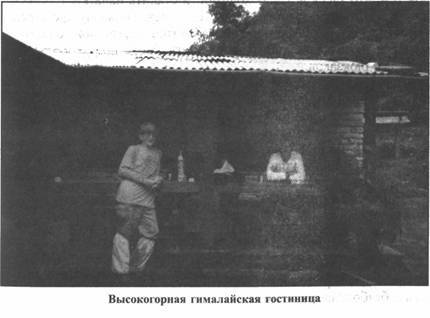 Иллюстрация к книге — Золотые пластины Харати [any2fbimgloader116.jpg]