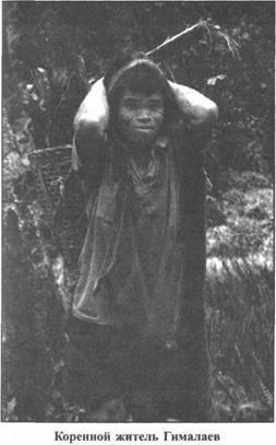 Иллюстрация к книге — Золотые пластины Харати [any2fbimgloader131.jpg]