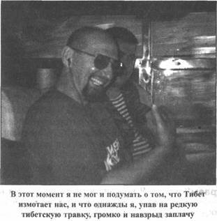 Иллюстрация к книге — Золотые пластины Харати [any2fbimgloader133.jpg]