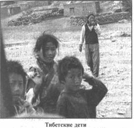 Иллюстрация к книге — Золотые пластины Харати [any2fbimgloader206.jpg]