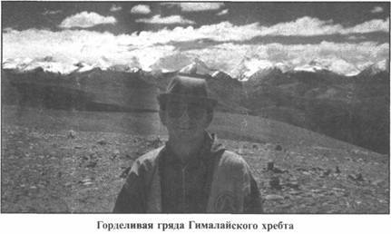 Иллюстрация к книге — Золотые пластины Харати [any2fbimgloader210.jpg]