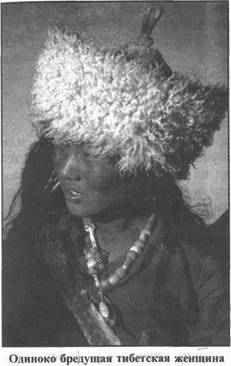 Иллюстрация к книге — Золотые пластины Харати [any2fbimgloader211.jpg]