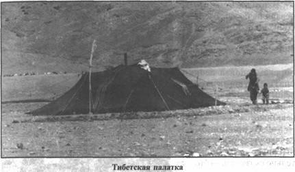 Иллюстрация к книге — Золотые пластины Харати [any2fbimgloader216.jpg]