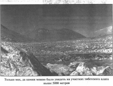 Иллюстрация к книге — Золотые пластины Харати [any2fbimgloader229.jpg]