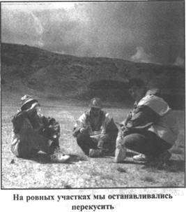 Иллюстрация к книге — Золотые пластины Харати [any2fbimgloader232.jpg]