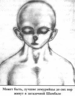 Иллюстрация к книге — Золотые пластины Харати [any2fbimgloader249.jpg]