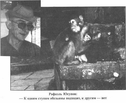 Иллюстрация к книге — Золотые пластины Харати [any2fbimgloader37.jpg]