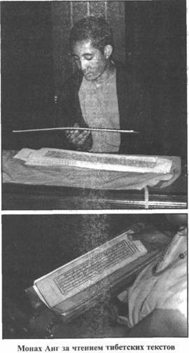 Иллюстрация к книге — Золотые пластины Харати [any2fbimgloader70.jpg]