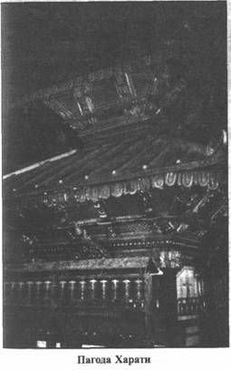 Иллюстрация к книге — Золотые пластины Харати [any2fbimgloader71.jpg]