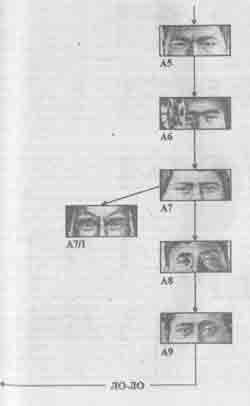 Иллюстрация к книге — Встреча с мастером [any2fbimgloader32.jpg]