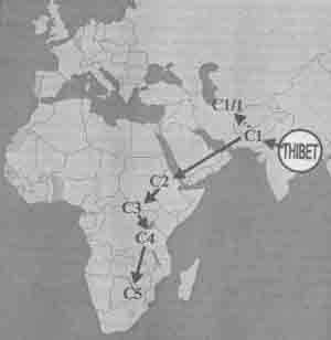 Иллюстрация к книге — Встреча с мастером [any2fbimgloader37.jpg]