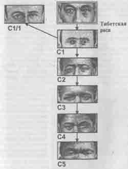 Иллюстрация к книге — Встреча с мастером [any2fbimgloader38.jpg]