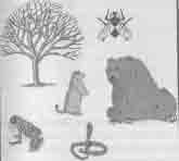 Иллюстрация к книге — Встреча с мастером [any2fbimgloader88.jpg]