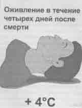 Иллюстрация к книге — Что сказали тибетские ламы [any2fbimgloader11.jpg]