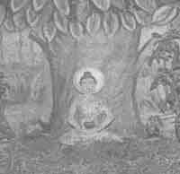 Иллюстрация к книге — Что сказали тибетские ламы [any2fbimgloader38.jpg]