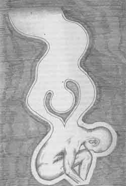 Иллюстрация к книге — Мир сложнее, чем мы думали [any2fbimgloader3.jpg]