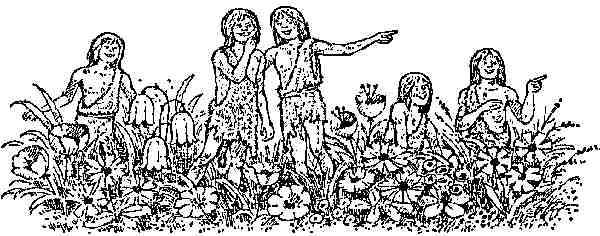 Иллюстрация к книге — Чарли и Шоколадная фабрика [i_024.jpg]