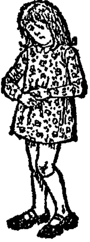 Иллюстрация к книге — Чарли и Большой стеклянный подъемник [i_038.jpg]