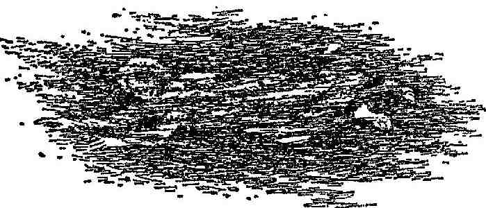 Иллюстрация к книге — Чарли и Большой стеклянный подъемник [i_045.jpg]