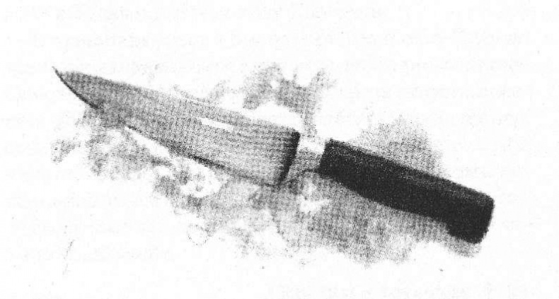 Иллюстрация к книге — Retrum. Когда мы были мертвыми [img_6.jpeg]