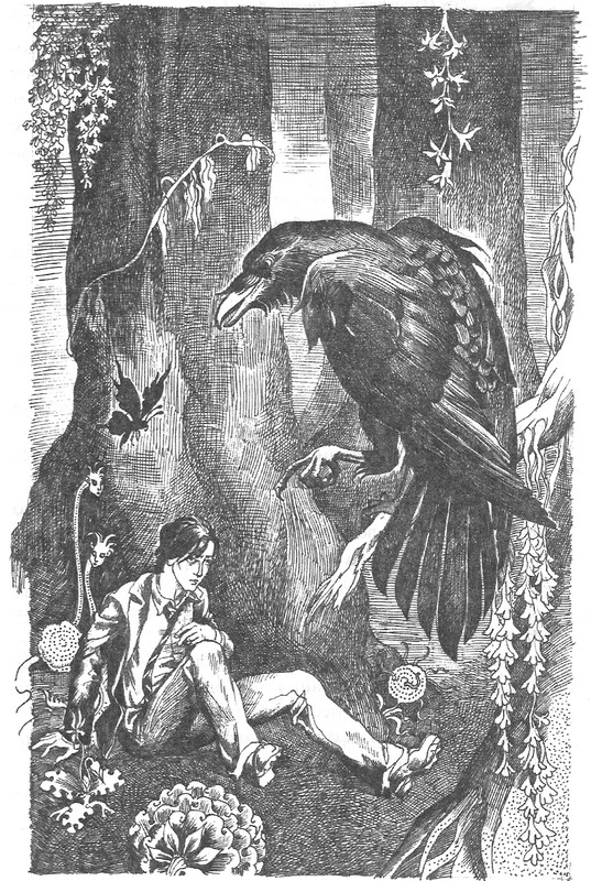 Иллюстрация к книге — Лес потерянных [image02.jpg]