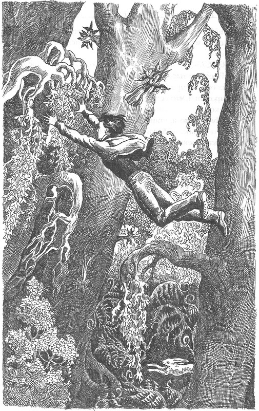 Иллюстрация к книге — Лес потерянных [image04.jpg]