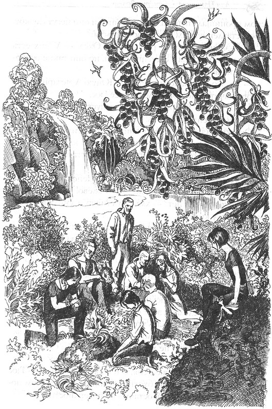 Иллюстрация к книге — Лес потерянных [image08.jpg]