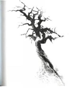 Иллюстрация к книге — Архитектор снов [pic_11.jpg]