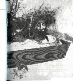 Иллюстрация к книге — Архитектор снов [pic_18.jpg]