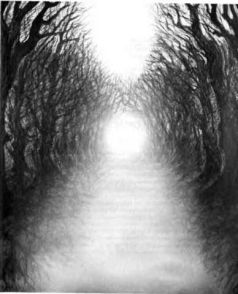 Иллюстрация к книге — Архитектор снов [pic_4.jpg]