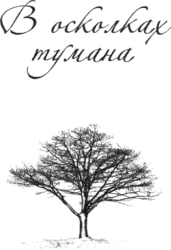 Иллюстрация к книге — В осколках тумана [i_001.png]