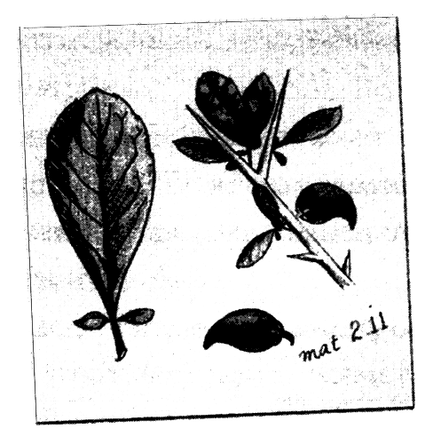 Иллюстрация к книге — Тайна древней гробницы [i_014.png]